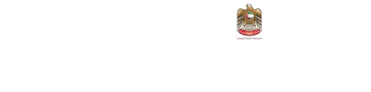 tax return in dubai